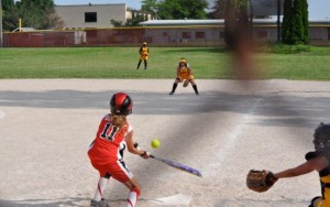 Barrington Youth Baseball Services