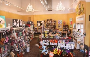 Inside Cody and Carl's Pet Boutique Cody and Carl's Pet Shop
