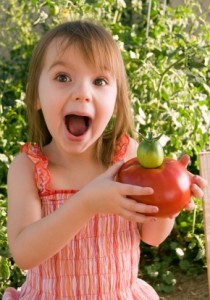 Smart Farm of Barrington Garden Girl