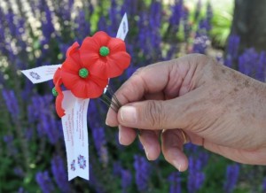 Barrington VFW Post 7706 Memorial Day Poppy Campaign