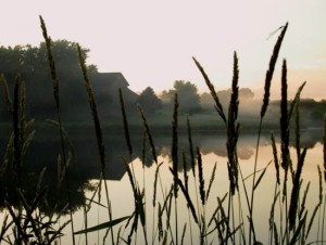 Starbell Hatchery in Harvard, IL