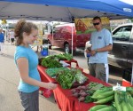 Fresh Produce at the Barrington Farmers Market