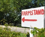 Farmstand Sign Sign Pointing to the Foley Farmstand