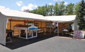 Shopping at The Foley Farmstand