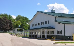 Horses Help People with Disabilities at Walk On Farm