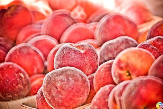 Farmer Wayne Miller and his Peaches at the Barrington Farmers Market