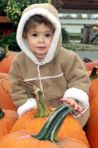 Fall Festival at Goebbert's Farm Market
