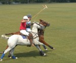 Playing Polo in Barrington Hills