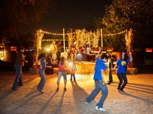 Live Music at Ignite the Night Fall Bonfire Festival