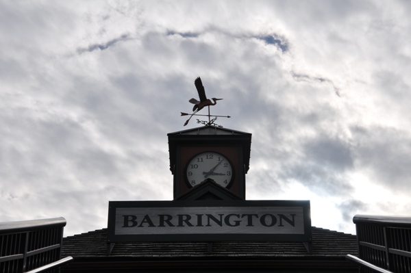 bird weathervanes