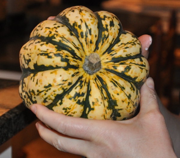 Community Supported Agriculture Locally Grown Produce