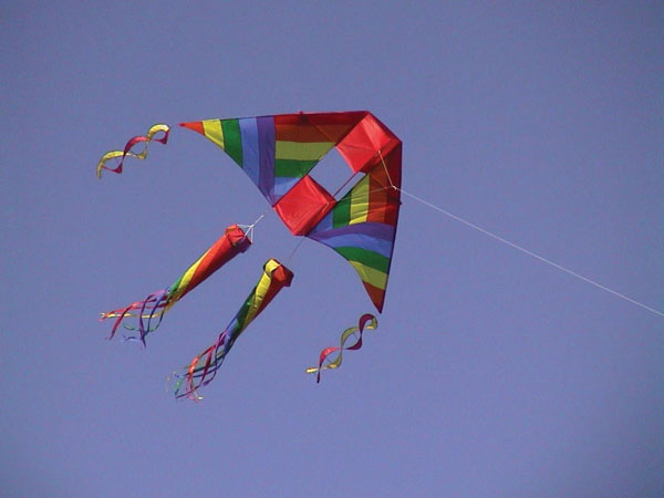 Barington Community Kite Fly Community Kite Fly at Citizens Park in Barrington, Illinois