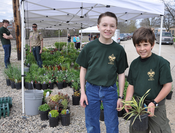 Boy Scout Troop 10 Plant Sale Barrington Boy Scout Plant Sale
