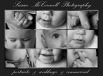Susan McConnell Photography Merchant - Featured Image - Susan McConnell Photo Collage