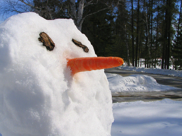 Post - Snowman - Carrot Nose