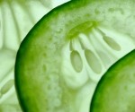 Post - Cucumber Slices Post - Cucumber Slices