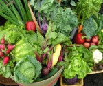 Smart Farm Veggies - Courtesy of Smart Farm