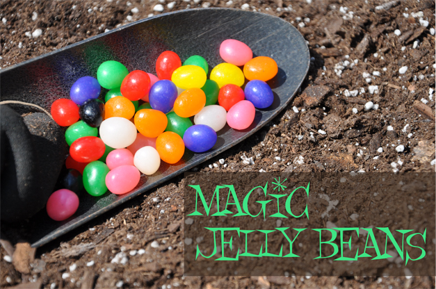 magic jelly bean for mac computer