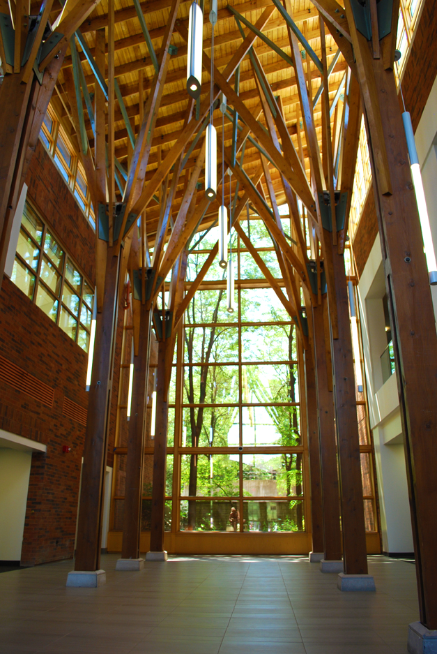 165. Come Celebrate Your "Remixed" Barrington Area Library 365Barrington