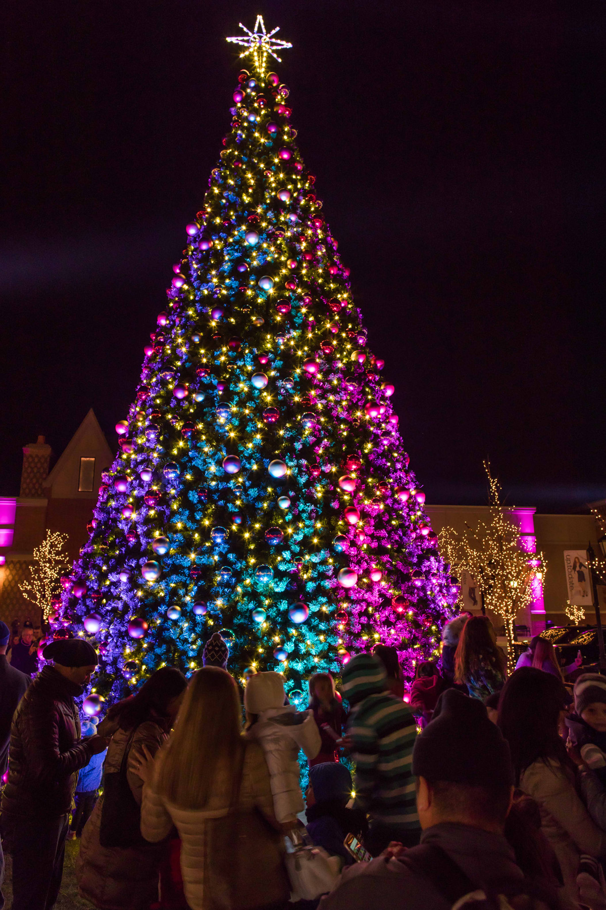 arboretum south barrington stores on Wickstrom Lincoln Ice Rink At The Arboretum Of South Barrington 365barrington