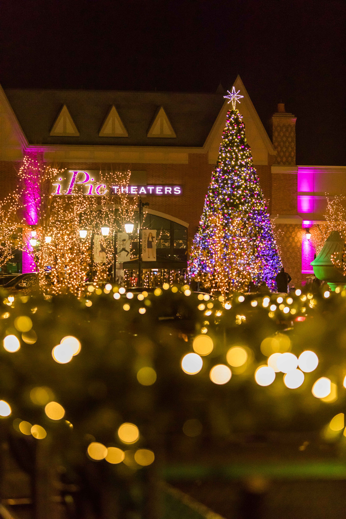 arboretum south barrington stores on Last Minute Gifts Found In A Flash At The Arboretum Of South Barrington 365barrington