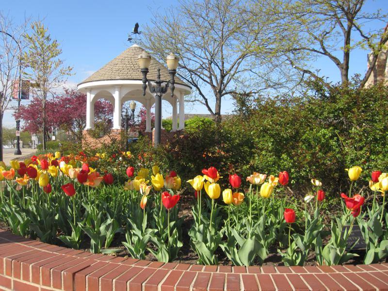 Barrington Village Unveils Plans for Proposed Park Avenue Plaza with