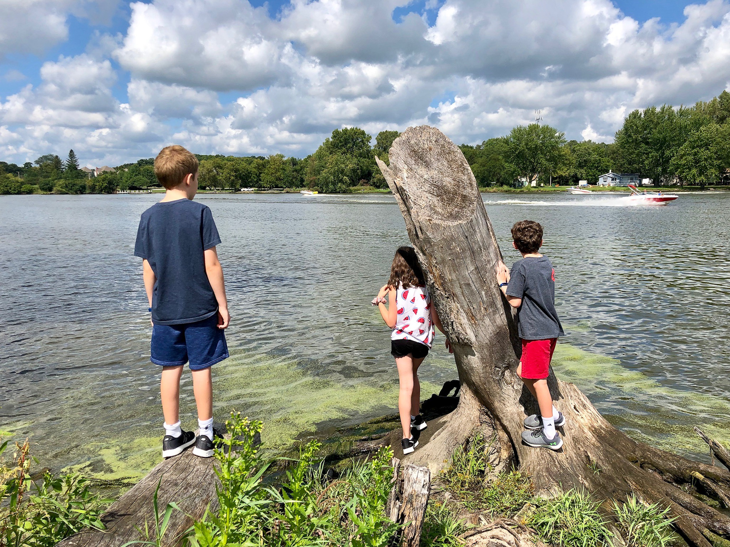 A Walk Through Grassy Lake Forest Preserve 365Barrington