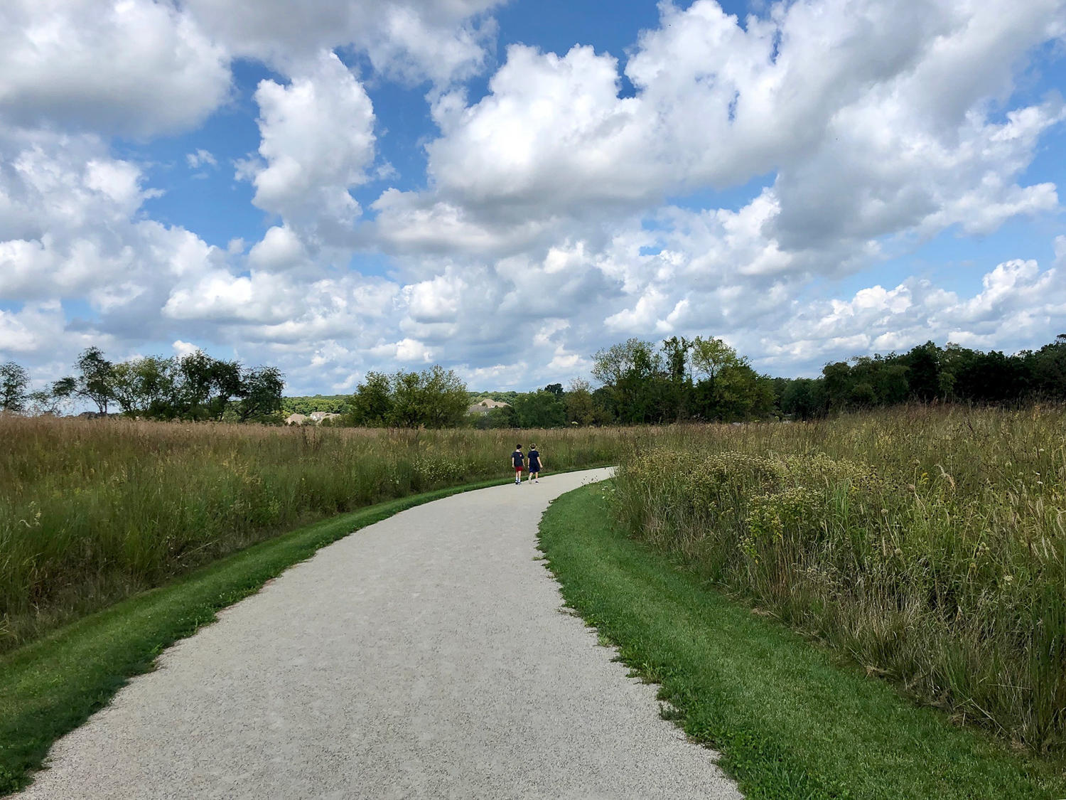 A Walk Through Grassy Lake Forest Preserve 365Barrington