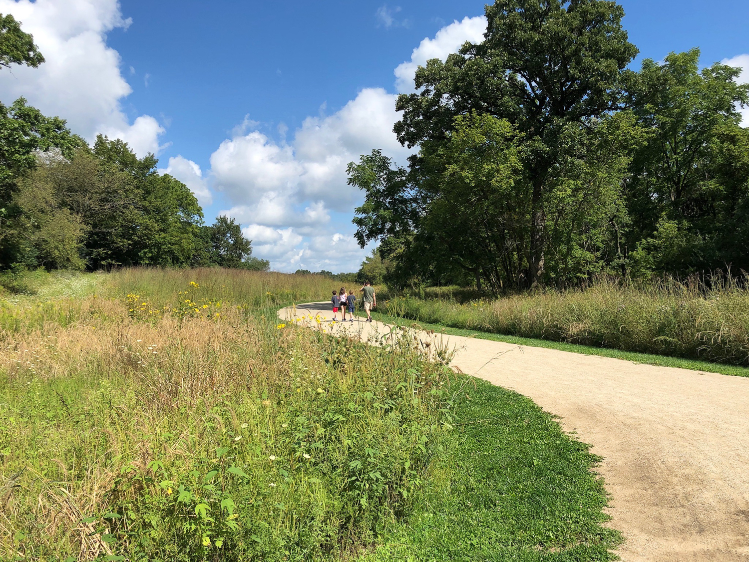 A Walk Through Grassy Lake Forest Preserve 365Barrington